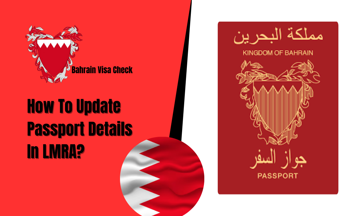 How To Update Passport Details In LMRA